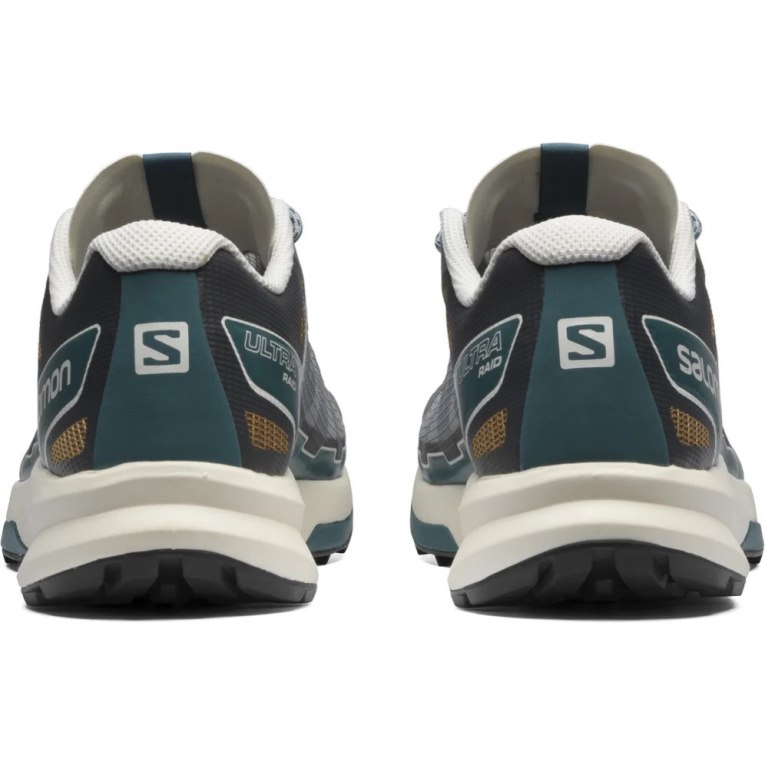 Grey Salomon Ultra Raid Men's Sneakers | PH 15978C